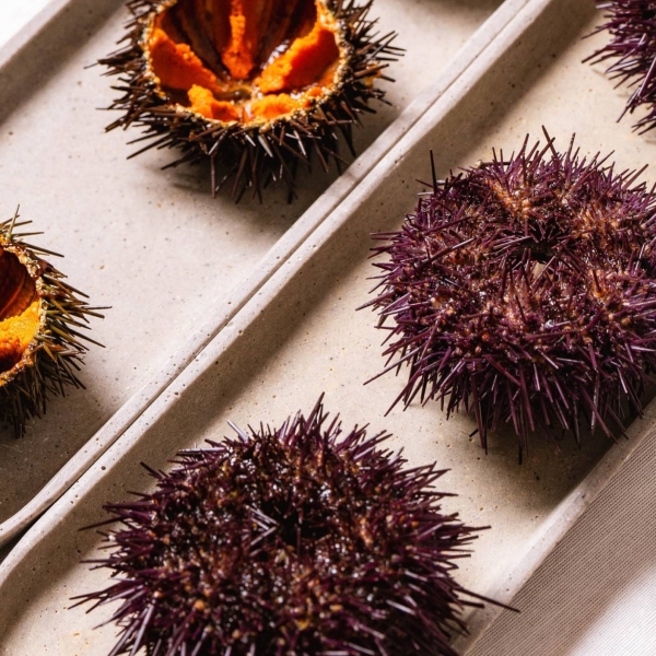 Le restaurant - La Bonne Mer - restaurant Marseille